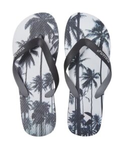 Palms