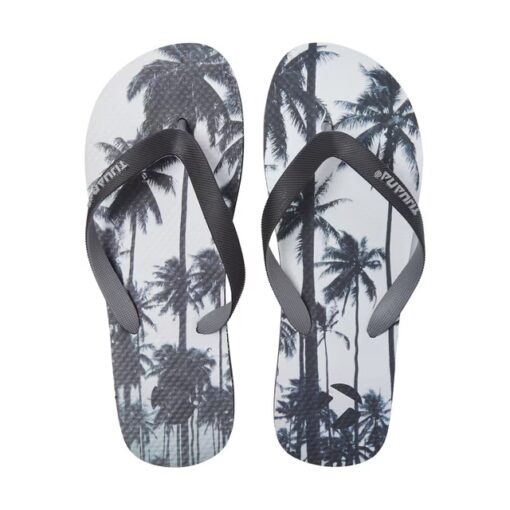 Palms
